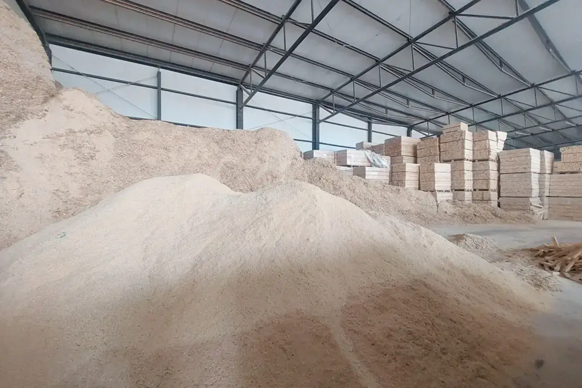 Czyste trociny sosnowe wykorzystywane do produkcji pelletu